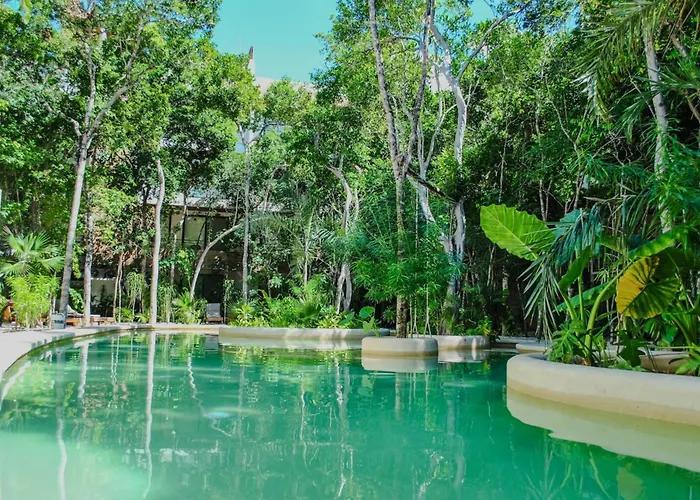 Apartment Esencia Botanic Piscina Privada